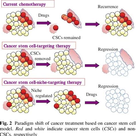 prada et al cancer stem cells|stem cell pathway cancer therapy.